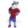 Loup costume de mascotte