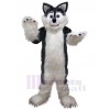 Loup costume de mascotte