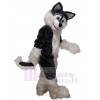 Loup costume de mascotte