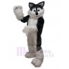 Loup costume de mascotte