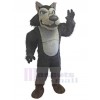 Loup costume de mascotte