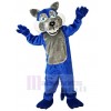 Loup costume de mascotte