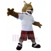 Loup costume de mascotte