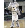 Loup costume de mascotte