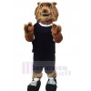 Loup costume de mascotte
