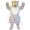 Loup costume de mascotte