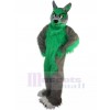 Loup costume de mascotte