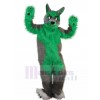 Loup costume de mascotte