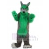 Loup costume de mascotte