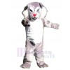 Loup costume de mascotte