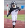 Loup costume de mascotte
