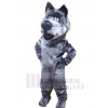 Loup costume de mascotte
