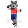 Loup costume de mascotte