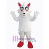 Loup costume de mascotte