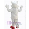 Loup costume de mascotte