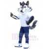 Loup costume de mascotte