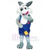 Loup costume de mascotte