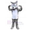 Loup costume de mascotte