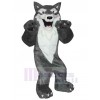 Loup costume de mascotte