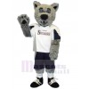 Loup costume de mascotte