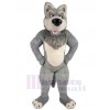 Loup costume de mascotte