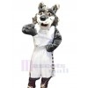 Loup costume de mascotte