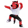 Loup costume de mascotte