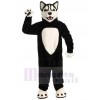 Loup costume de mascotte