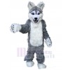 Loup costume de mascotte