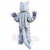Loup costume de mascotte