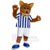 Loup costume de mascotte