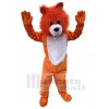 Loup costume de mascotte
