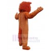 Loup costume de mascotte