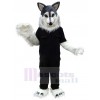 Loup costume de mascotte