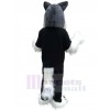 Loup costume de mascotte