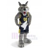 Loup costume de mascotte