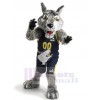 Loup costume de mascotte
