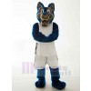 Loup costume de mascotte