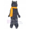 Loup costume de mascotte