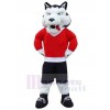 Loup costume de mascotte