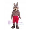 Coyote costume de mascotte