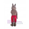 Coyote costume de mascotte