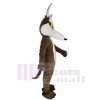 Loup costume de mascotte