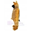 Loup costume de mascotte