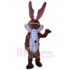 Loup costume de mascotte