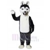 Loup costume de mascotte