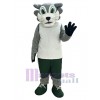 Loup costume de mascotte