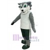 Loup costume de mascotte