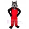 Loup costume de mascotte