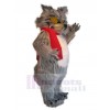 Loup costume de mascotte